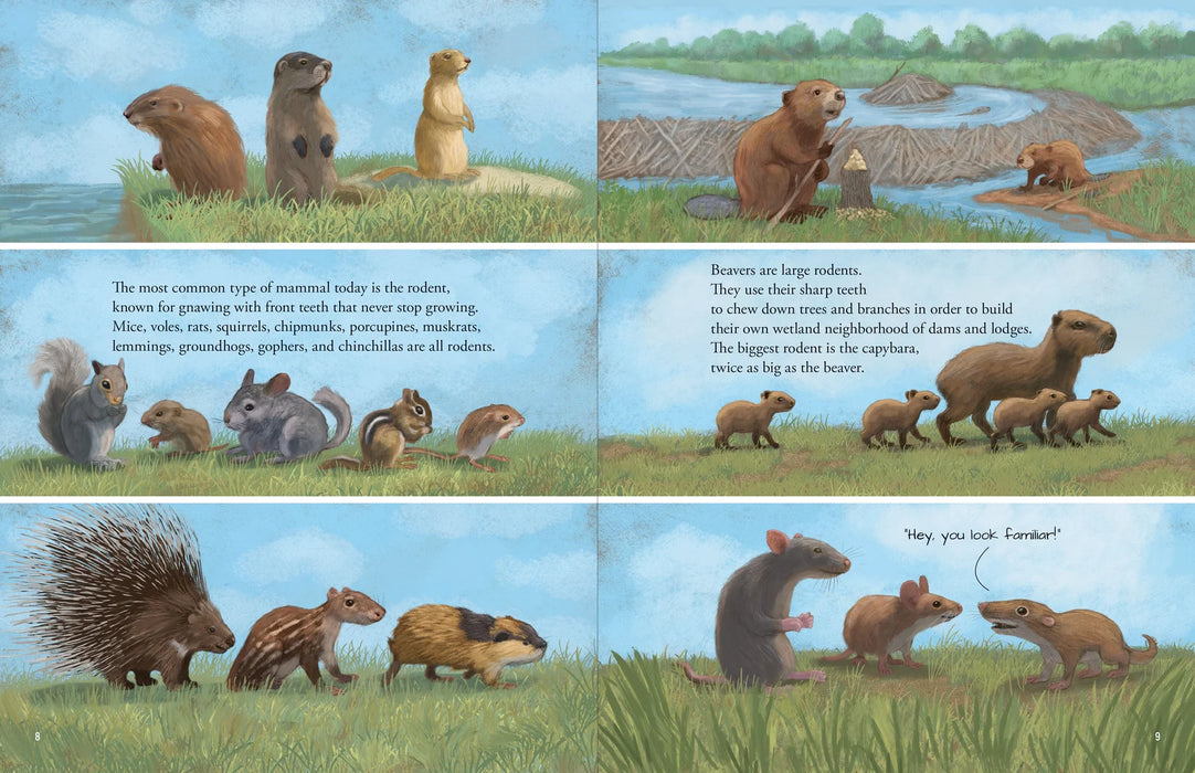 All the Mammals in the World Book