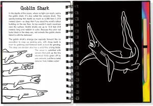 Scratch & Sketch Sharks