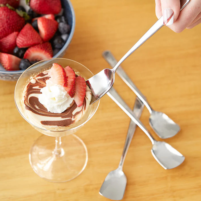 Ice Cream Spoon Set/4 Stainles