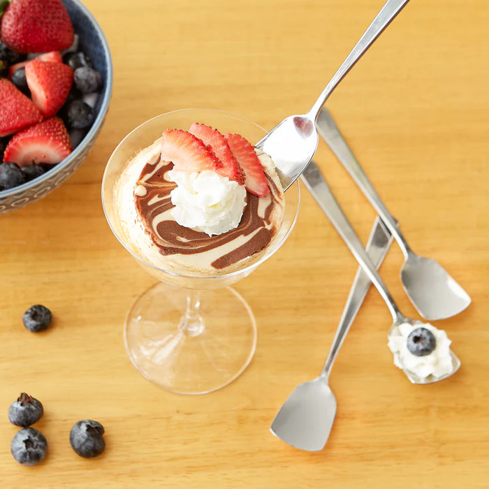 Ice Cream Spoon Set/4 Stainles