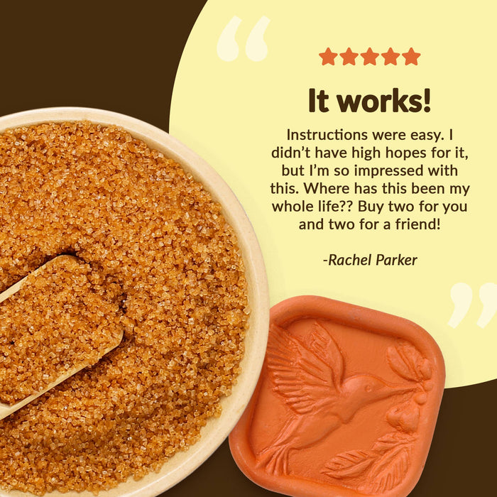 Brown Sugar Saver - Hummingbird Design