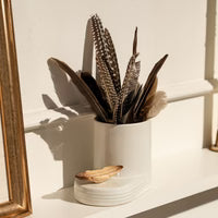 A450 Creative Quill Mini