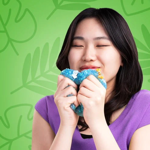 Zoolandia Slime Charmers