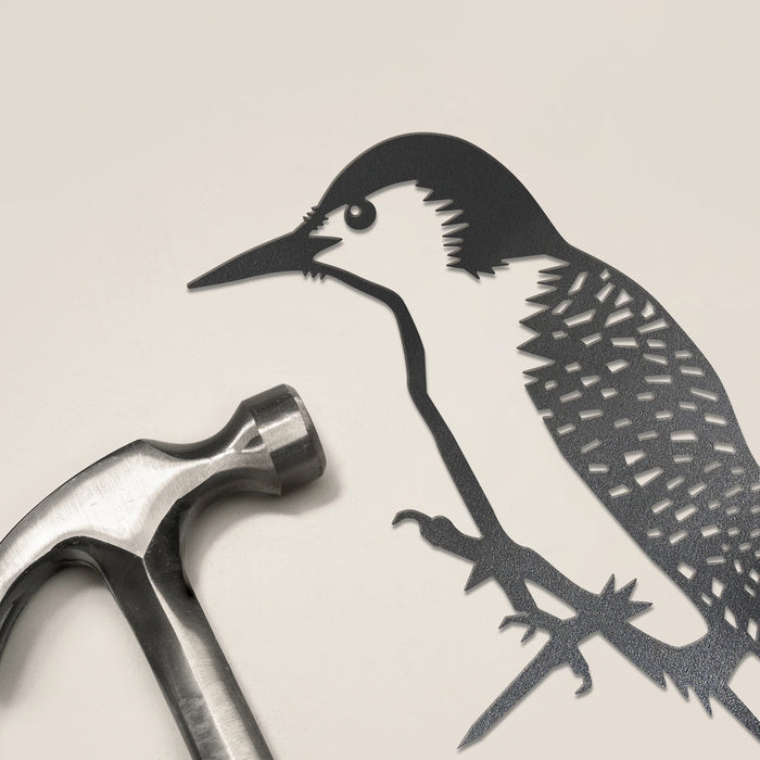 Red Bellied Woodpecker