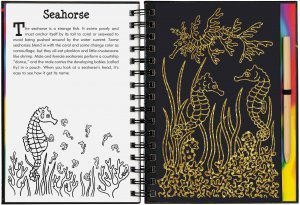 Scratch & Sketch Coral Reefs