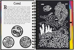 Scratch & Sketch Coral Reefs