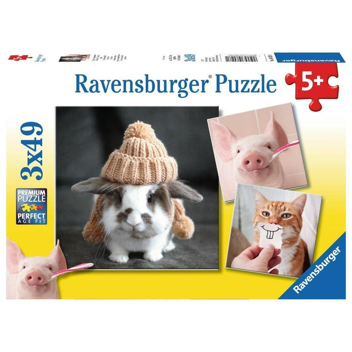 3x49 Funny Animal Portraits Puzzle