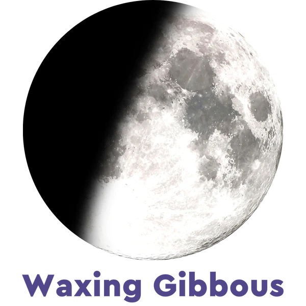 Moonglow Necklace 5A