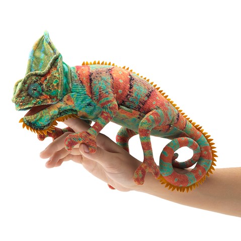 Small Chameleon