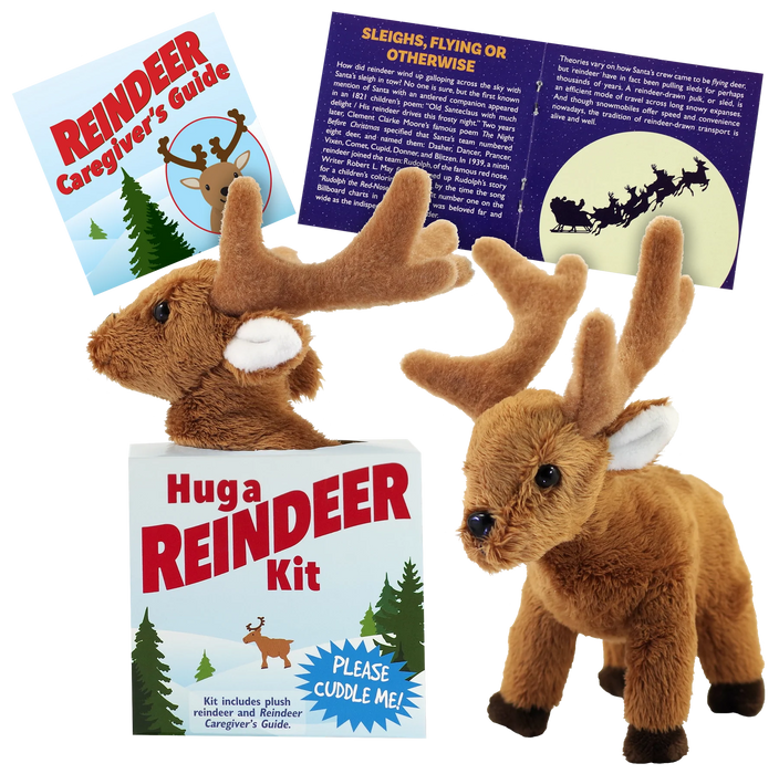 Hug A Reindeer Kit