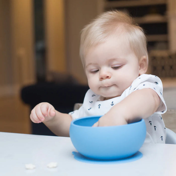 Mr. Mess Suction Bowl