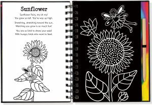 Scratch & Sketch Garden Fairies