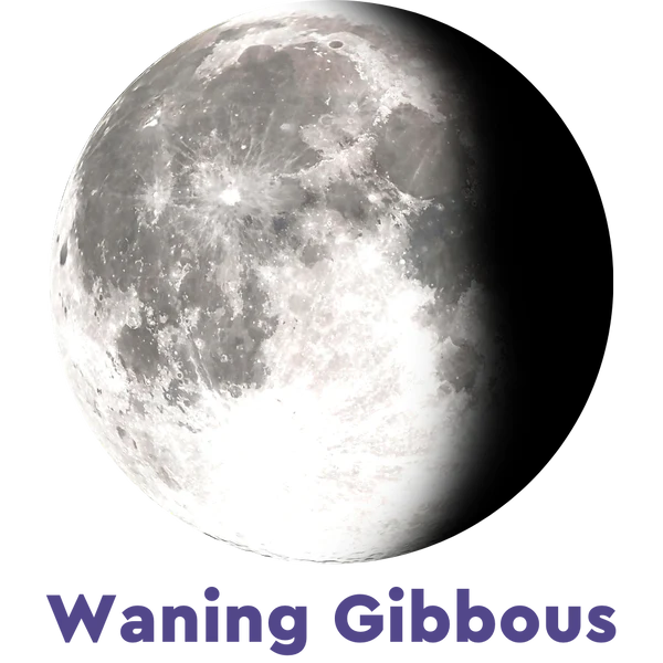 Moonglow Labradorite Bracelet 6D