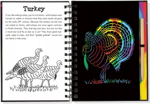 Scratch & Sketch Forest Friends