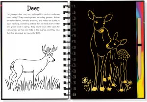 Scratch & Sketch Forest Friends