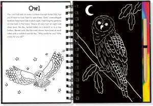 Scratch & Sketch Forest Friends