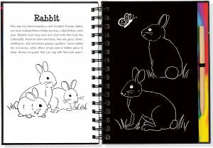 Scratch & Sketch Forest Friends