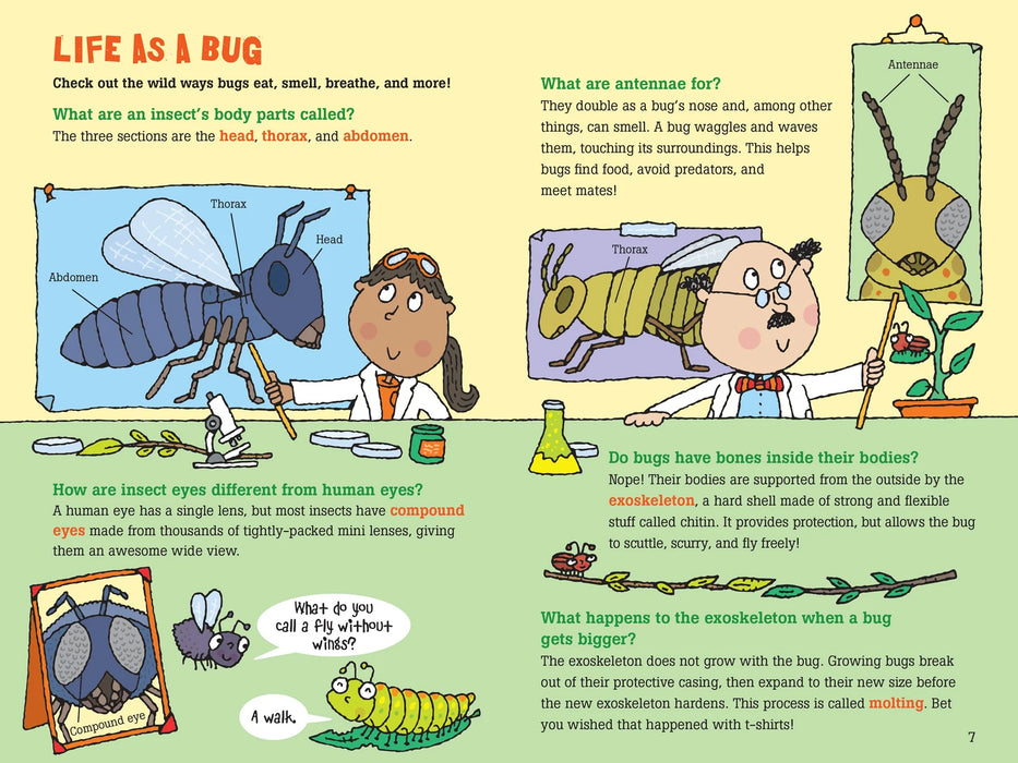 100 Questions About Bugs Book