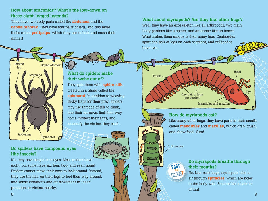 100 Questions About Bugs Book