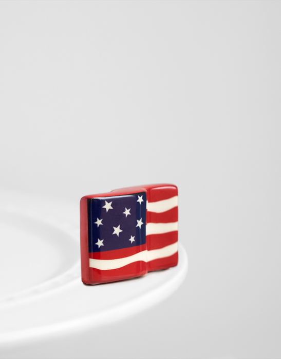 American Flag Mini
