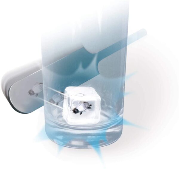 Mind Blowing Magic Tricks and Stunts