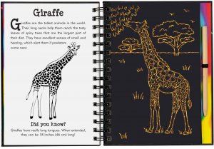 Scratch & Sketch Wild Safari