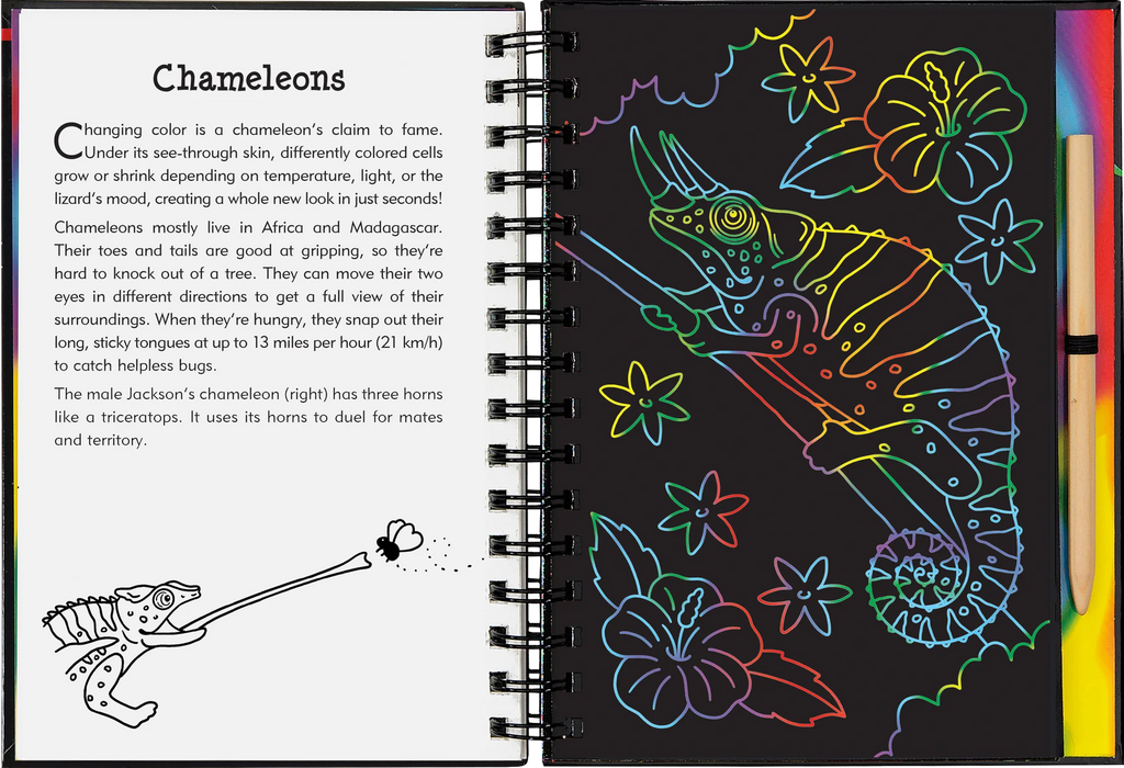 Scratch & Sketch Reptiles & Amphibians