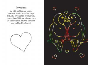 Scratch & Sketch Pet Shop