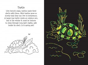 Scratch & Sketch Pet Shop