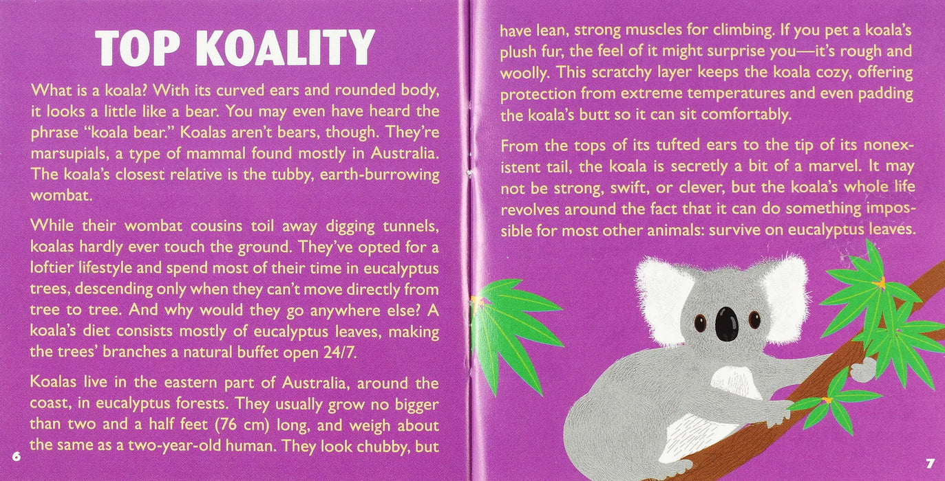 Hug a Koala Kit