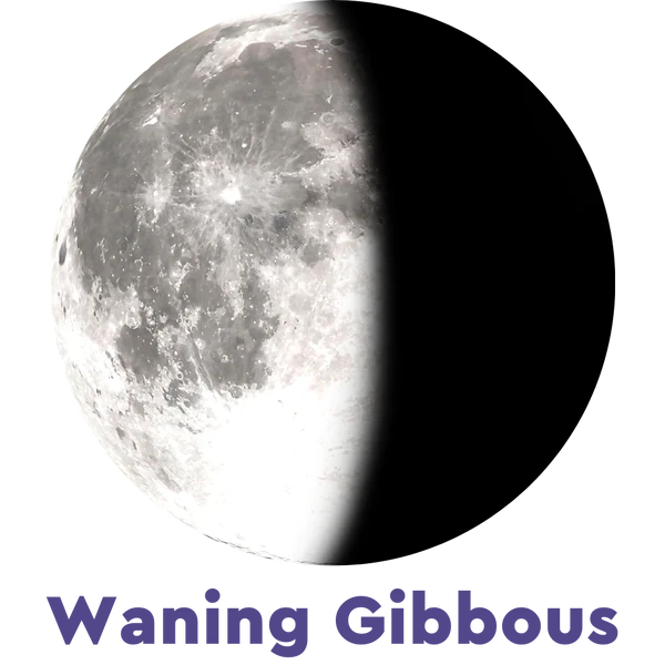 Moonglow Labradorite Bracelet 5D