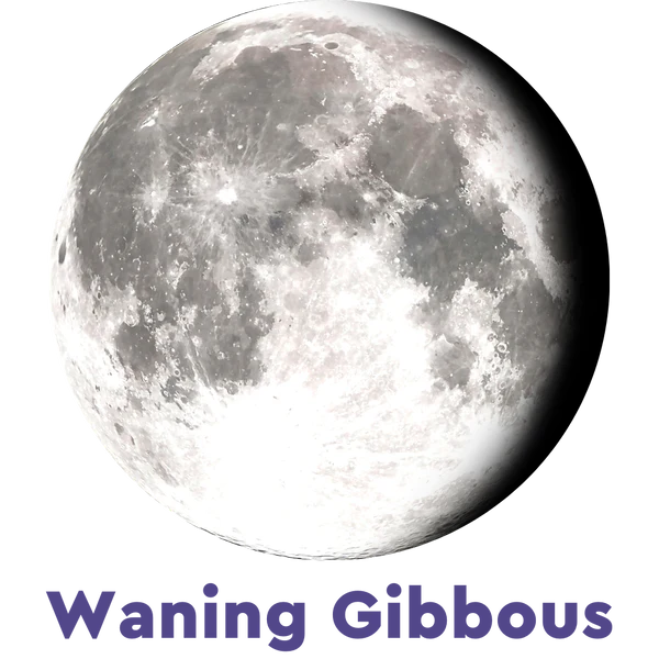 Moonglow Moonstone Bracelet 7D