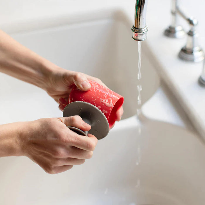 Mushroom Sponge Sage