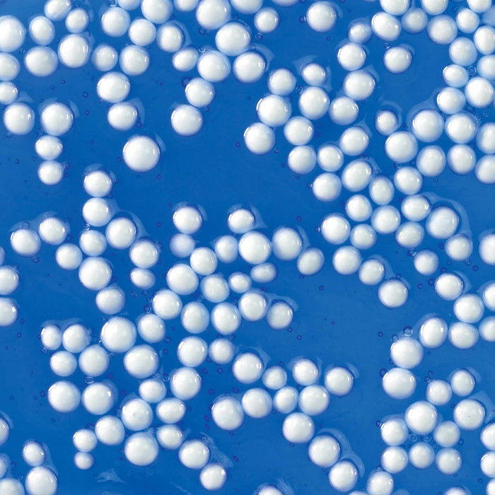 Crackl'n Kracken Thinking Putty