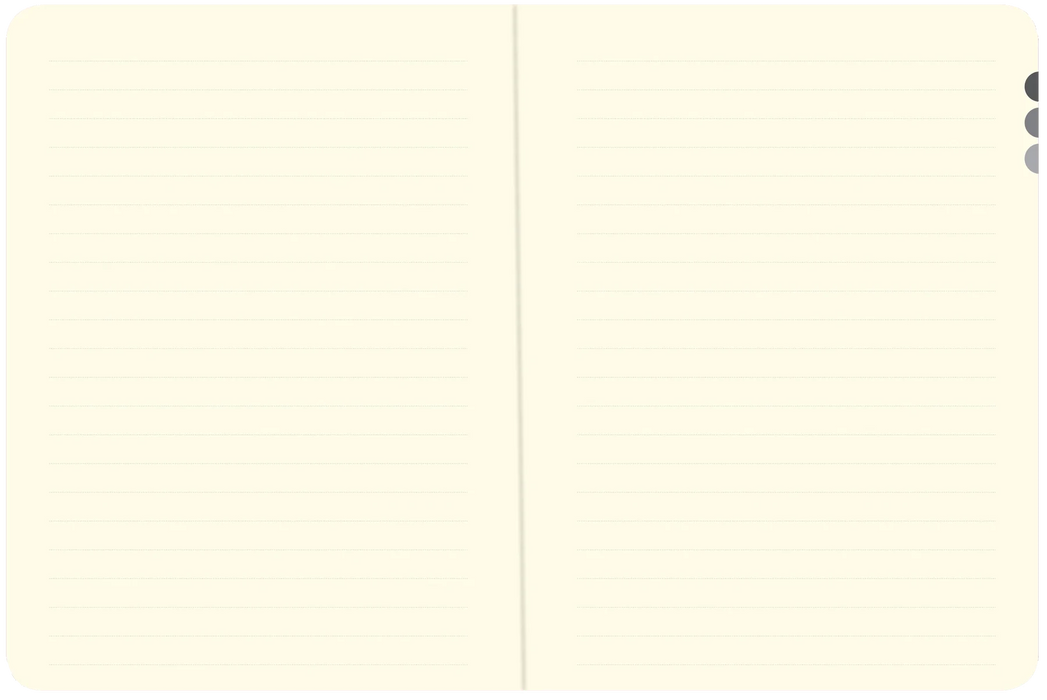 Dandelion Wishes Journal