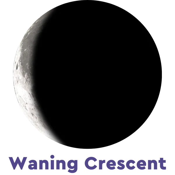 Moonglow Zenith Bracelet 1D