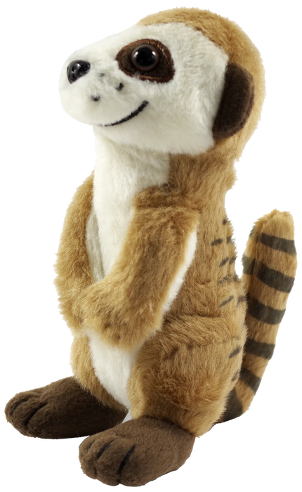 Hug A Meerkat Kit