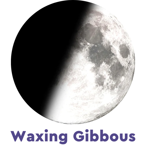 Moonglow Moonstone Bracelet 4A