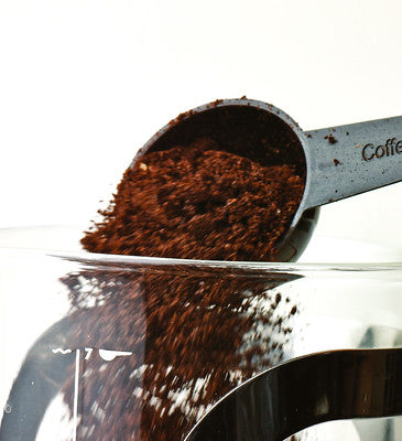 Aerolatte 3 Cup French Press