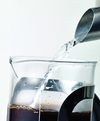 Aerolatte 3 Cup French Press