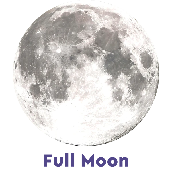 Moonglow Zenith Bracelet PL