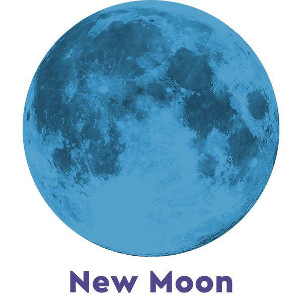 Moonglow Moonstone Bracelet NL