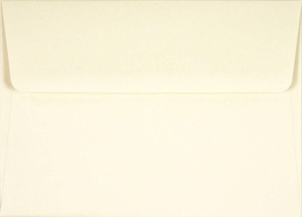 Hummingbird Flight Note Cards