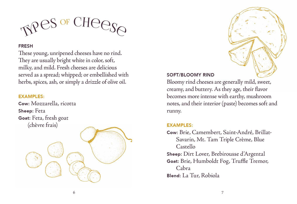 Little Book of Charcuterie & Cheese