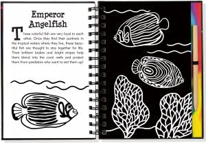 Scratch & Sketch Under the Sea