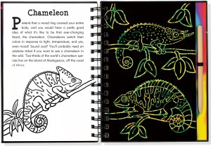 Scratch & Sketch Rain Forest