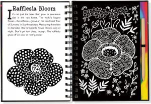 Scratch & Sketch Rain Forest