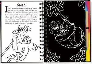 Scratch & Sketch Rain Forest