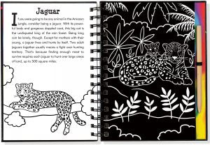 Scratch & Sketch Rain Forest