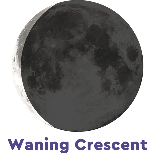 Moonglow Necklace CD